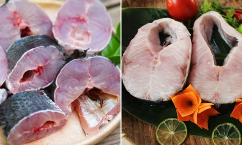 Vì sao cá thường có mùi tanh? Nhiều người chưa biết nguyên nhân thật sự