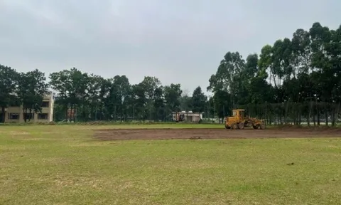 Điểm tin bóng đá Việt Nam 28/6: Ninh Bình nâng cấp cơ sở vật chất; 'Vũ khí' giúp Tiến Dũng đánh bại Công Phượng