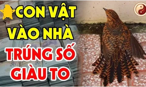 4 con vật Đệ Tử Thần Tài đi tới nhà nào, nhà đó Trúng Số Đổi Vận Giàu To: Đó là con vật gì?
