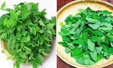 Tại sao khi nấu rau ngót, phải vò lá rau trước khi nấu?