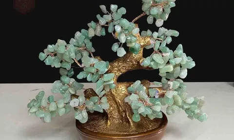 Đặt Cây Tài Lộc đúng phong thủy, tiền tài, may mắn, sự sung túc và thịnh vượng sẽ chảy vào nhanh chóng