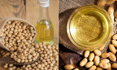 Không phải dầu đậu nành, đây là 4 loại dầu tốt hơn, lành mạnh hơn, nhiều người chưa biết