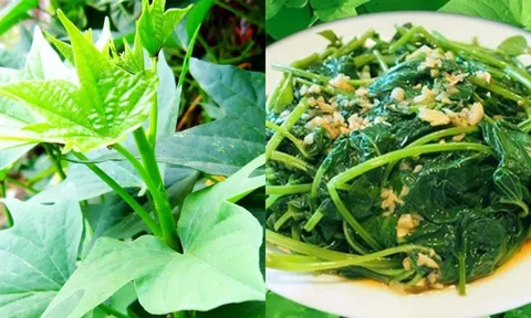 Loại rau trước thường cho lợn ăn nay thành món ăn đồng quê tốt như thần dược, bổ hơn nhân sâm tổ yến