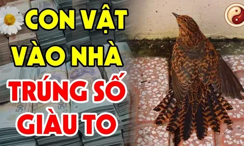 5 con vật Đệ Tử Thần Tài, đến nhà là Trúng Số giàu to