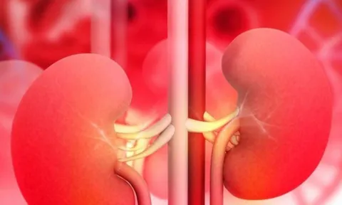 Gia tăng Suy Thận ở Người trẻ, một thói quen cực hại thận mà nhiều người đang mắc