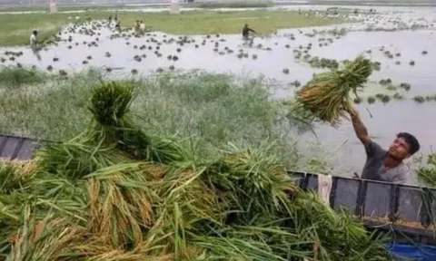 Ngày mùng 6 tháng 6 âm lịch sợ mưa: Lý do người xưa kiêng kỵ, điềm báo gì nếu trời đổ mưa?