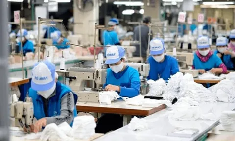Từ nay: Người lao động làm 24 công việc này có thể nghỉ hưu sớm 10 năm vẫn hưởng đủ quyền lợi