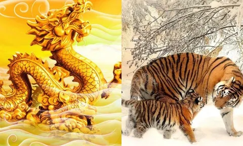 4 con giáp bước vào thời hoàng kim: 90 ngày tới tiền đồ sáng rực, cuối năm làm nên cơ đồ giàu sụ