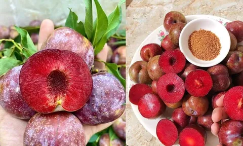 Những người nên hạn chế ăn mận. Cách ăn mận để tốt cho sức khỏe