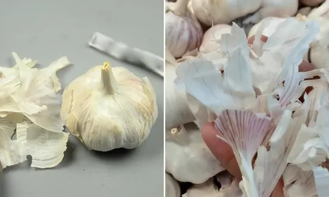 Vỏ tỏi có 4 công dụng bất ngờ, cả nam và nữ đều cần, vứt đi là lãng phí