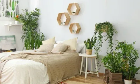 Không nên đặt 3 đồ vật này trong phòng ngủ, kẻo mất tài lộc và khiến sức khỏe đi xuống
