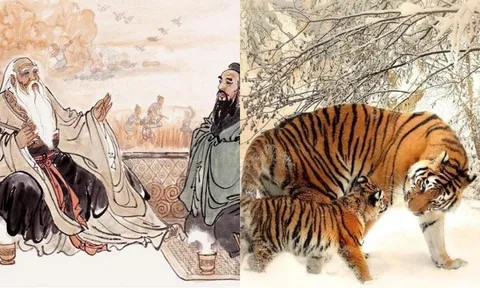 3 con giáp đổi vận từ tuổi trung niên, hậu vận viên mãn: Con cháu hiếu thuận, phúc lộc ngập tràn