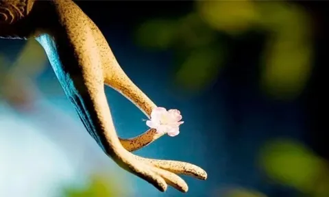 Con đường duy nhất để cải biến vận mệnh là hành thiện tích đức, cải biến nhân tâm