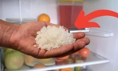 Đặt 1 nắm muối vào tủ lạnh: Công dụng "vàng" nhà nào cũng rất cần