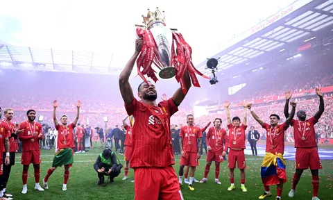 Chân dung Cody Gakpo - Hành trình đến Liverpool của tôi