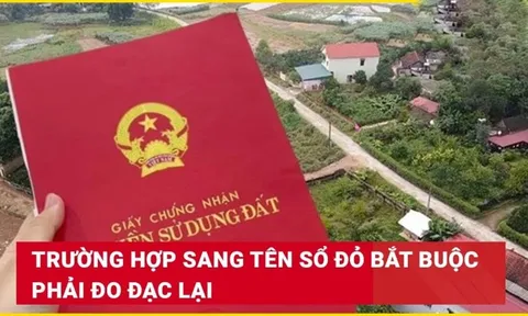 Kể từ 1/8/2025: Sang tên sổ đỏ bắt buộc phải đo đạc lại đất, đúng không?