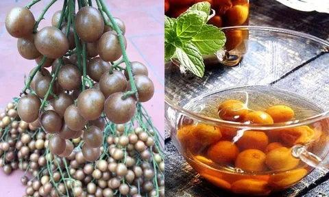 Loại quả giá vài nghìn đồng đang vào màu được ví như nhân sâm của người nghèo, tốt như tiên dược