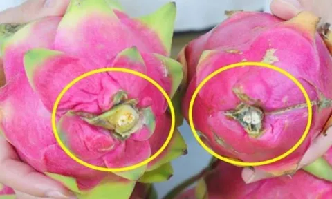 Mẹo chọn thanh long ngọt lịm: Nhớ 5 điểm này, không bao giờ mua nhầm