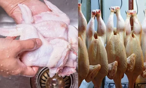 Nhiều người đang rửa thịt gà theo cách này, một sai lầm tai hại mà ít người chú ý