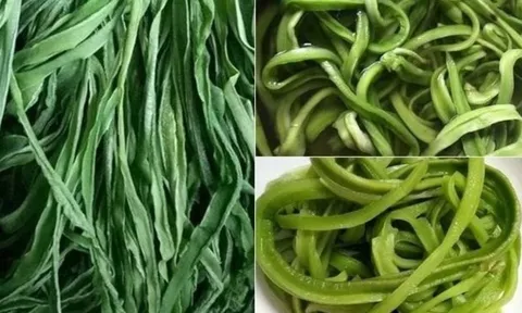 Loại rau Việt đắt hơn thịt, bổ ngang nhân sâm: nhiều nhưng ít ai biết ăn đúng cách