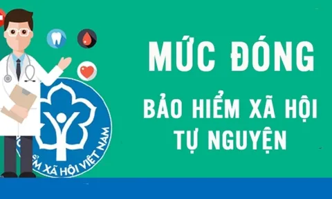 Mức hỗ trợ đóng bảo hiểm xã hội tự nguyện từ tháng 7/2025 là bao nhiêu?