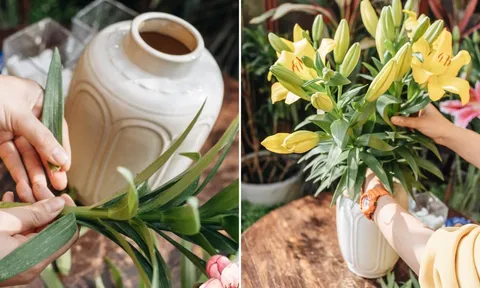 Thêm thứ này vào nước cắm hoa, hoa để cả tuần vẫn tươi rói, bất chấp trời nắng nóng