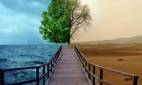 Tổ tiên dạy: Muốn biết lòng người sâu cạn, chỉ cần nhìn kỹ 2 điểm này là đủ