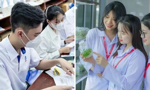Ngành học được miễn phí 100% năm 2025, có ngành được trợ cấp 3,63 triệu đồng/tháng: Ai đỗ đạt thật đáng mừng