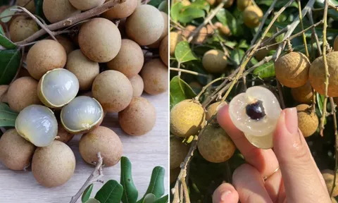 Nhãn thơm ngọt nhưng có 4 nhóm người không nên ăn, thích mấy cũng phải tránh