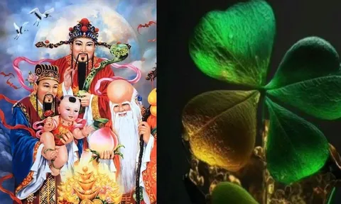 3 con giáp trẻ thì ốm yếu làm cha mẹ vất vả nhưng lớn lên khỏe mạnh giàu có, hiếu thảo phúc đầy nhà