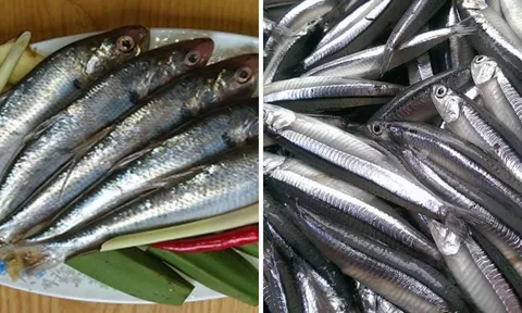 7 loại cá vừa rẻ vừa sạch, bổ như nhân sâm: Đi chợ thấy nên mua ngay