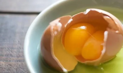 Gà đẻ trứng hai lòng đỏ là điềm gì? Có phải do hormone? Liệu có nở ra 2 gà con?