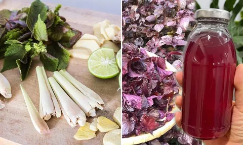 Nấu nước lá tía tô thêm chanh, gừng, sả: Cơ thể nhận được 6 lợi ích tuyệt vời, ai cũng cần