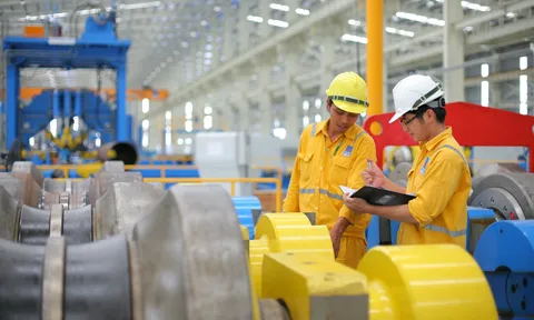 Ngành học 'vàng' tại Việt Nam 4 năm liên tiếp lọt Top thế giới, lương 10 số dễ dàng