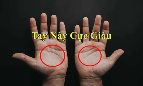 Người có tướng bàn tay này đáng chúc mừng: 10 người thì cả 10 người giàu có, chuẩn hơn nhìn mặt