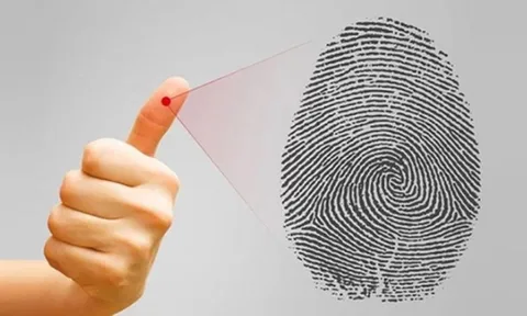 Nhìn hoa tay đoán ngay số mệnh giàu sang phú quý, hay nghèo cơ cực