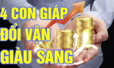 Tháng 6 Nhuận thuận nước đẩy thuyền: 4 tuổi Tiền - Tình mỹ mãn