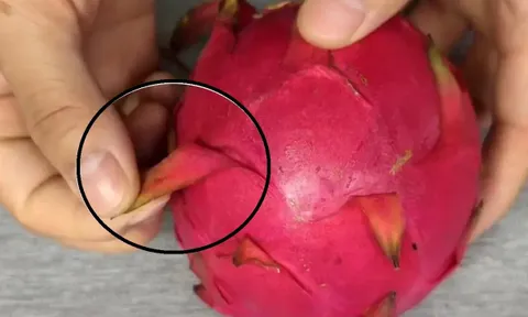 Ra chợ thấy thanh long có điểm này thỏa mái mua về, không lo ủ thuốc