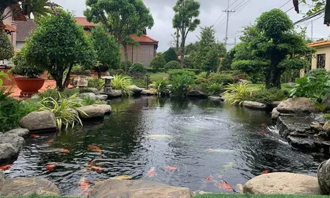4 cấm kỵ trong bố trí phong thủy sân vườn, đừng phạm phải kẻo mấy đi may mắn và tài lộc