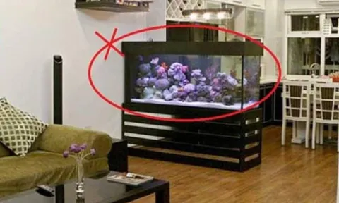 5 vật cấm kỵ tuyệt đối không đặt dưới chân bàn thờ: Phạm phải gia đạo lục đục, tài lộc tiêu tan
