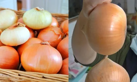 Mẹo bảo quản hành tây nửa năm không hỏng