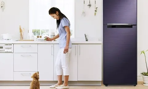 Tuyệt đối đừng để 3 thứ này trên nóc tủ lạnh: Tổ tiên cảnh báo, của cải tiêu tán, gia đạo bất ổn!