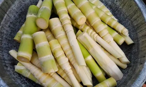 Măng tươi ăn ngon và hấp dẫn nhưng nhớ làm cách này để khử độc tố trong măng