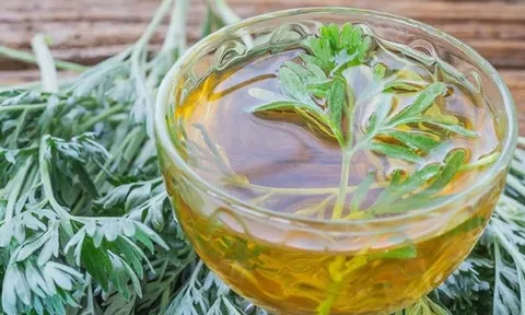 Mỗi ngày uống 1 cốc nước lá ngải cứu có tác dụng gì?