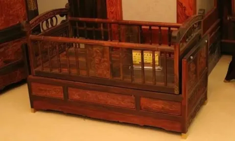 Người IQ cao khi gặp 3 điều này luôn biết lùi một bước: Bí quyết giữ trí tuệ và thành công