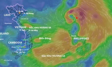 Cập nhật thời tiết hôm nay 20/7: Bão Wipha diễn tiến ra sao, gây mưa dông dữ dội thế nào?