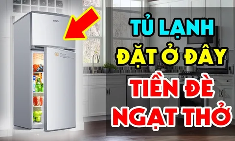Đặt tủ lạnh chỗ này: Tiền Đè Ngạt Thở, ai không biết quá đáng tiếc