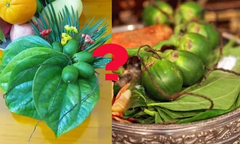 Hái bao nhiêu lá trầu, quả cau để thắp hương để Tổ tiên ưng bụng ban Lộc đề huề?