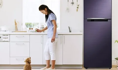 Tổ tiên cảnh báo: Nếu để 3 vật này trên nóc tủ lạnh, tiền tài trong nhà sẽ thất thoát không ngừng!