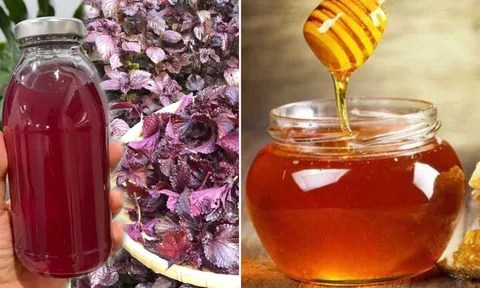 Uống nước tía tô pha thêm mật ong, nhận được lợi ích bất ngờ, nhiều người không biết